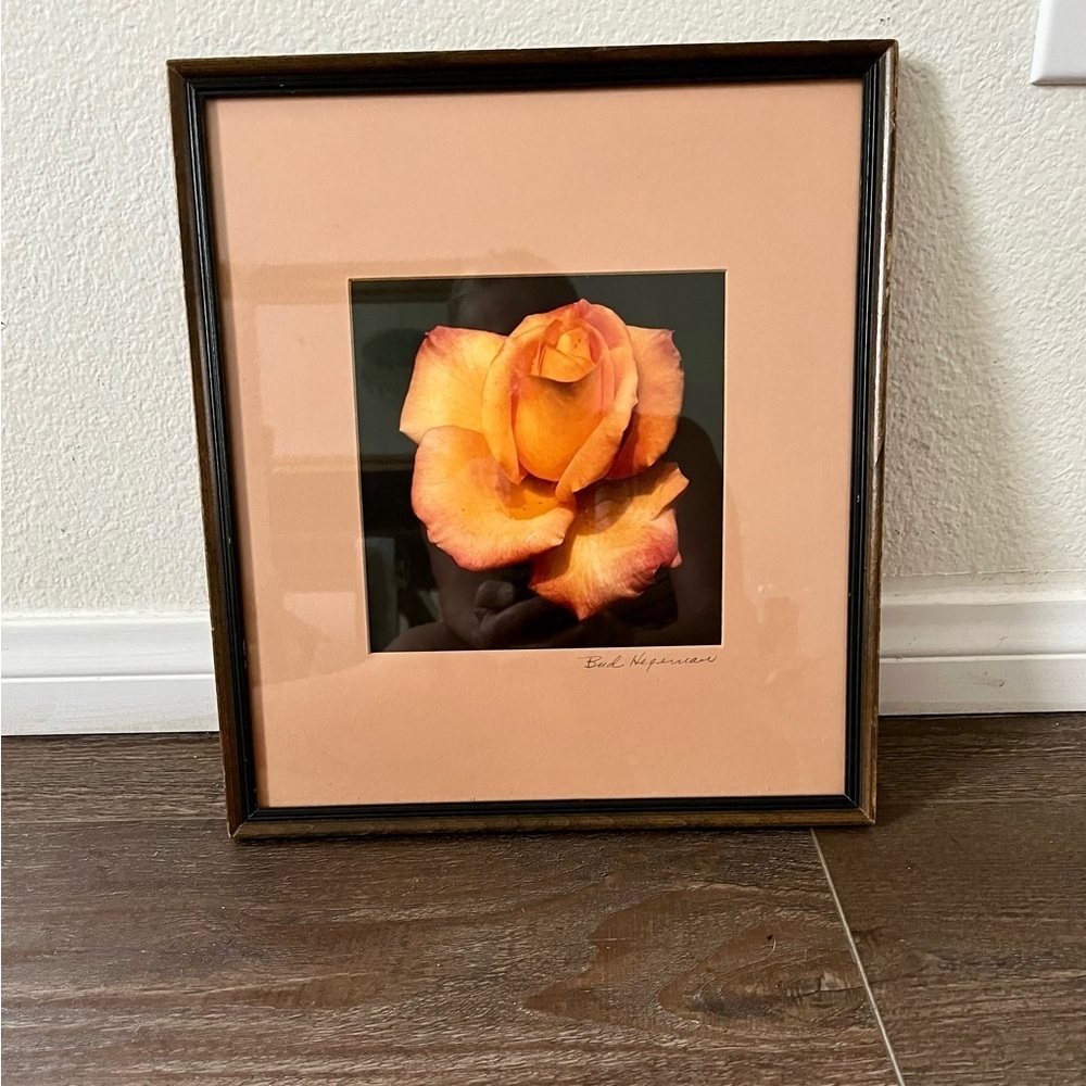 Framed Peach Rose Photograph By Bud Hereman Wall Art Decor 12/13 Inch